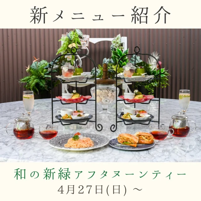 【新メニューのご案内】  「和の新緑アフタヌーンティースタンド」
2025年春の新作メニューが、4月27日(日)より登場します！  抹茶をはじめとした“和の素材”を贅沢に使用した、この季節だけの特別なアフタヌーンティースタンド。  新緑を思わせる爽やかな彩りと、
抹茶の奥深い香りを楽しめるスイーツの数々。
aotsubakiならではの、ティータイムをお届けします。  さらに、フードメニューにも新作が仲間入り！
・じゃこと梅の和風さっぱりパスタ
・ごぼうと照り焼きチキンのサンド
お腹も心も満たす、満足度たっぷりのラインナップです。  皆様のご来店を心よりお待ちしております！  現在ご予約受付中です。
※ご利用は完全ネット予約制となっております。
プロフィールのリンクよりご予約ください。  #aotsubaki 
#くだまつ健康パーク 
#アフタヌーンティー 
#和のアフタヌーンティー 
#抹茶スイーツ 
#新緑スイーツ 
#和スイーツ 
#和の新緑アフタヌーンティースタンド 
#春のご褒美 
#照り焼きサンド 
#和風パスタ 
#完全ネット予約制 
#紅茶好きな人と繋がりたい 
#カフェ巡り 
#非日常のひととき